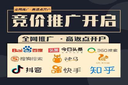 百度竞价广告案例分析：成功之道揭秘